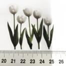 ���X�g��`���[���b�v�̃R���[�W���V�[���@389