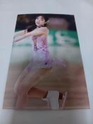 �t�B�M���A�X�P�[�g ���q�I��{�c�^꣎ʐ^ �R���N�V����