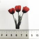 ���X�g��`���[���b�v�̃R���[�W���V�[���@393