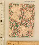 �~�i�y���z�l���~���o�e�B�@�͂���@lyric�~pepper