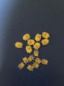 �l�C���p�[�c�@�����Ă�n�`�����ƃN���A�n�`����