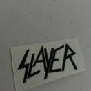 80N㓖 SLAYER /  SXebJ[@XC[@XbV^@wB^