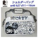 ~bL[V_[obObZW[obOfBYj[ъԊwZʊwʋ΁󂠂聚DisneyVigp