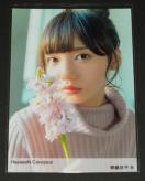 46@ʐ^P@ꎓq@HaaaaaN Canopus