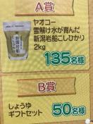 �^�C�A�b�v���V���R�V�q�J��/���傤��M�t�g�Z�b�g/185���l1��