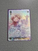 ���@�C�X�V�����@���c ���ׂ݂̗ŉԂ�҂� ���䃊�T BDR