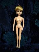 �J�X�^�����J�����f��