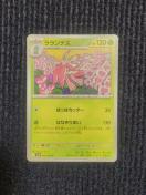 �������e�X�@�|�P�����J�[�h�@���P�b�g�c�̉h��