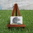 Viy}OlbgzSquirrel^X@-NX-