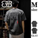 MTCYAJg 100% GvgsVc O[ GCg{A[k51