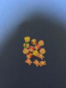 �}�C�����@2��@�l�C���p�[�c