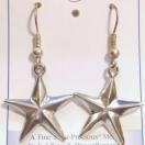 Nebula: Pentacle Earrings 䊐̃CO