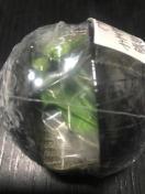 �������̑�}�Ӂ@���܂���01 �������܂���(�ΐF�^) �����ʏ�Ł@���J��