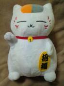 ���ĖڗF�l�������ӂ����Ƃʂ�����݁`�������j�����R�搶�`��