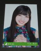 �O��46�@�����r�@���ʐ^�P���@�͓c�z��