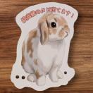 �y�ϐ��z�����������邠��I�u�ō����̃^�s�I�J�v�����@�Ȃ������X�e�b�J�[�i���b�v�C���[/�ʔ���/�l�^/�X�}�z/PC�j