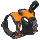 pn[lX p 3M h~ ߉\ ʋC y SȂ K n[lXxg ybgp M, IW