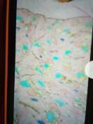 ƃX^[}CNѕz150~200p@sNn