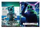 2021!Marshmello Live at Lollapalooza 2021 マシュメロ DJ