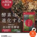 匠の野草酵素 野菜酵素 練酵素 ビタミン 乳酸菌 サプリメント 約3ヵ月分
