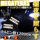 mLEDz̧10O۹ݎ/ͯײHID/H4ݸ/12000K