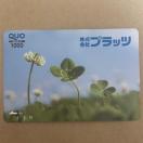 �N�I�J�[�h�@1000�~