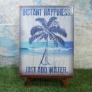 ViyuLŔzSurfing^T[tB@Instant Happiness