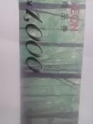 1000~CIi