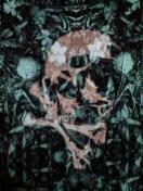 hydeViROEN۴ݑڲ԰ݸ48