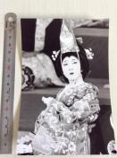 �w�Ⓦ�ʎO�Y�x����X�`�[���I