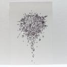 IWiCXg `CXg h[ nhCh G mN A[g   AiO CeA  art