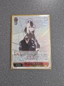 ���@�C�X�V�����@���c �Q�w�i�w���J���R SR