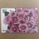 �N�I�J�[�h�@2000�~