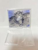 ��Ԃ����h���S���{�[���X�^���h�R���N�V�����@�剎���J����