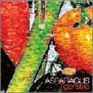sAtASPARAGUS Tiger style AXpKX RA bN pN CfB[Y ROCK PUNK