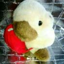 nj[gCY  ʂ ܂낤 FB a g 