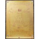 Viy|X^[zVitruvian Man^EBgEBEXIl̐}@_EB`