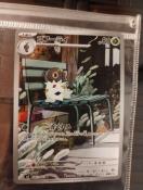 �|�P�����J�[�h�Q�[�� �R�t�[���C AR 081/080 SV4a �V���C�j�[�g���W���[ex �|�P�J