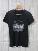 DOLCE&GABBANA/޶ޯް  Vȯ T/ݽ/44(S)