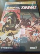 ���q���b���� ���˔\ X