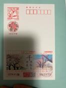 2026�N �X�ւ͂��� ��{�� ��͌��� 85�~ �N���@10���@���g�p�@800�~