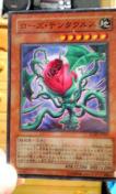 遊戯王【地ローズ・テンタクルス】