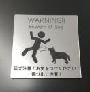 IAN |Xgv[g  5cm~5cm Ҍ яo