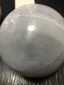 いきもの大図鑑 サソリ レッドクロウエンペラースコーピオン(大) 未開封