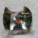 ���_�@�t�B�M���A ���J��