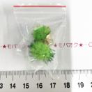 29*�L���L���ȃ|���|���`���[���@21