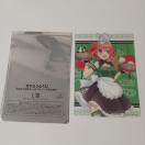 �ܓ����̉ԉ� ������ ���w�������X L�� �u���C���h�R���N�V�����V�[�g  �l�t