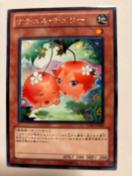 �V�Y���y�n�E�i�`�����`�F���[�z