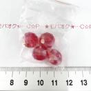 28*�K���X�r�[�Y�@28