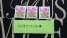 gp100~ʐ؎3300~oyC}